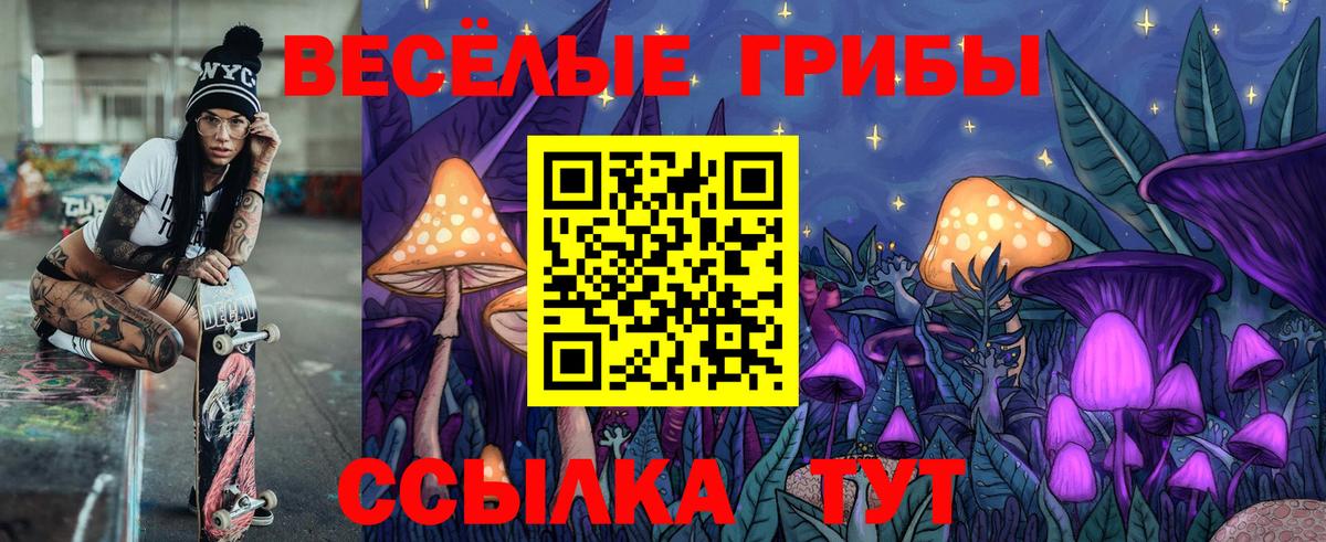 Псилоцибиновые грибы MAGIC MUSHROOMS  Вход с VPN  Егорьевск 